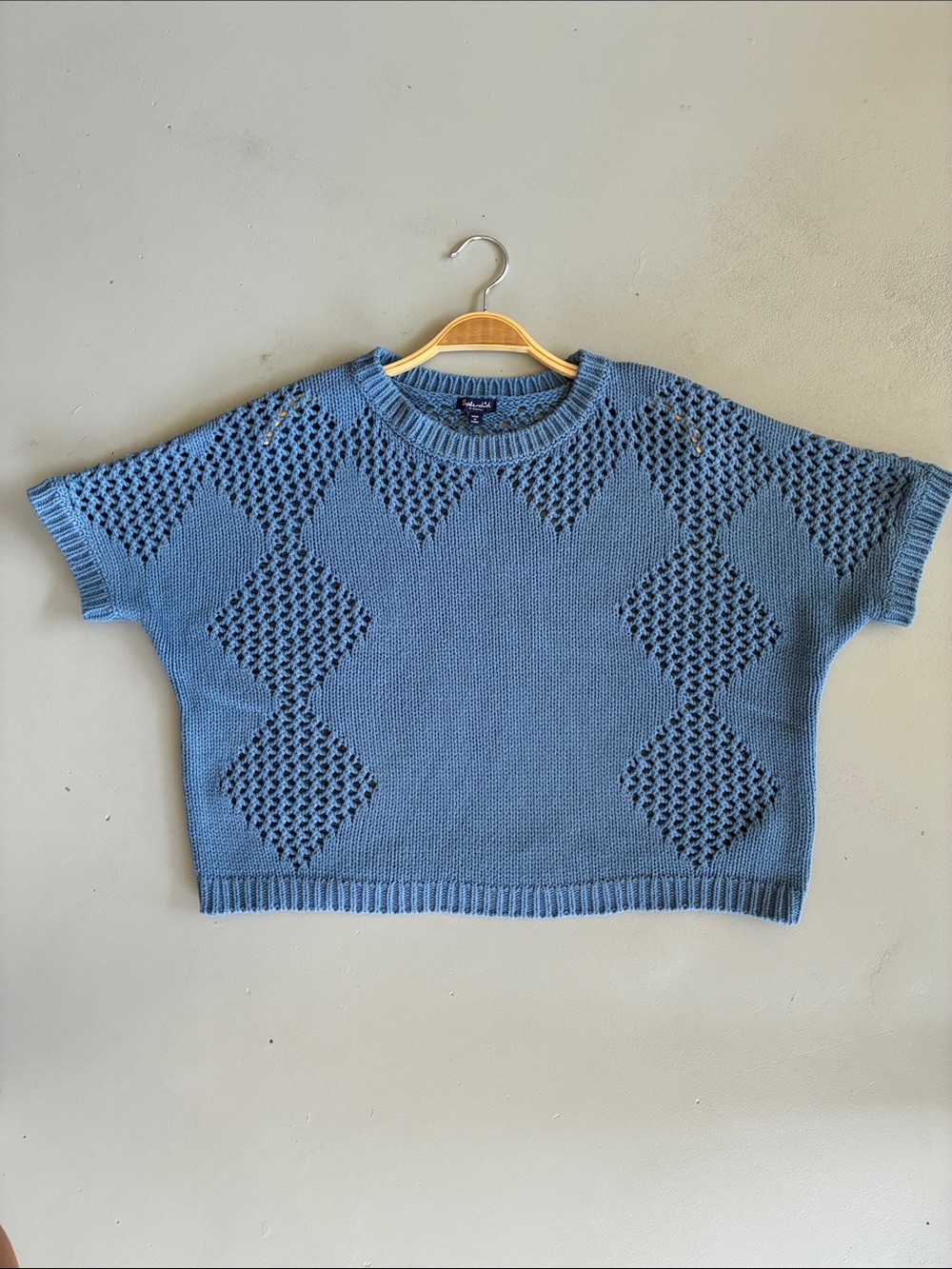 Splendid Light Blue Short-Sleeve Openwork Knit Sweater
